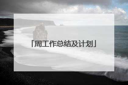 周工作总结及计划