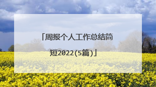 周报个人工作总结简短2022(5篇)
