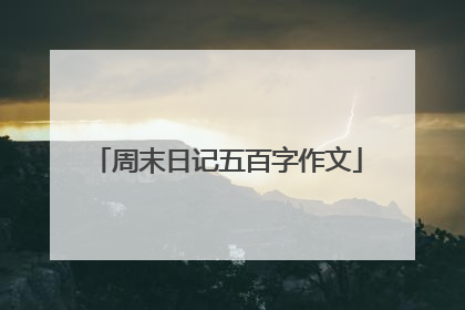 周末日记五百字作文