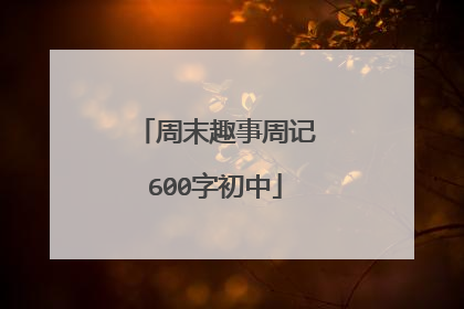 周末趣事周记600字初中