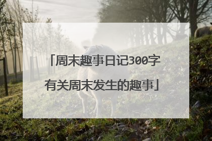 周末趣事日记300字 有关周末发生的趣事