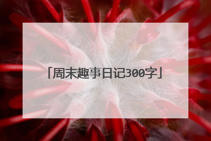 周末趣事日记300字