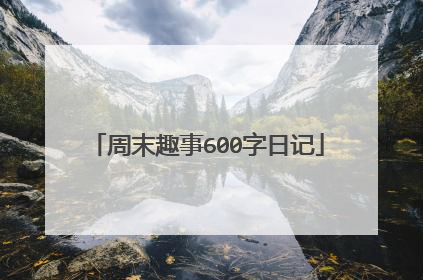 周末趣事600字日记