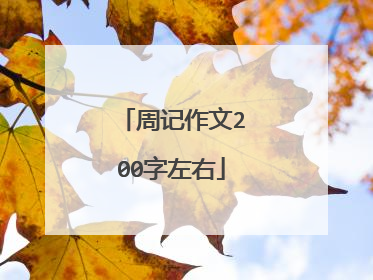 周记作文200字左右