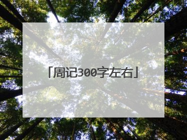 周记300字左右