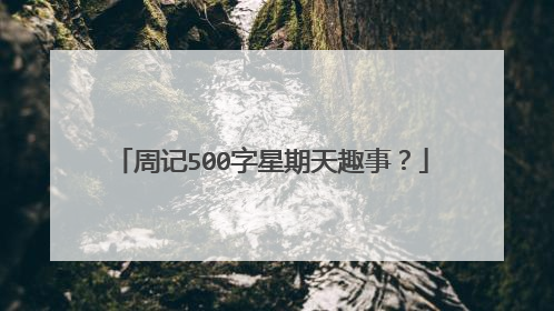 周记500字星期天趣事？