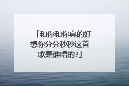和你和你真的好想你分分秒秒这首歌是谁唱的?