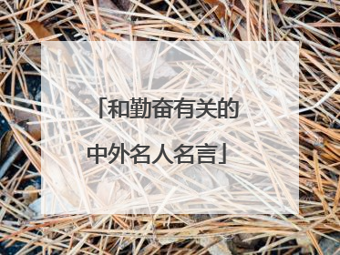 和勤奋有关的中外名人名言