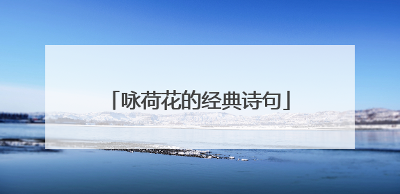 咏荷花的经典诗句