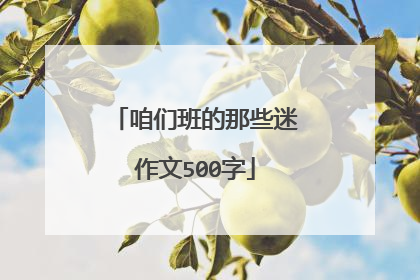 咱们班的那些迷作文500字