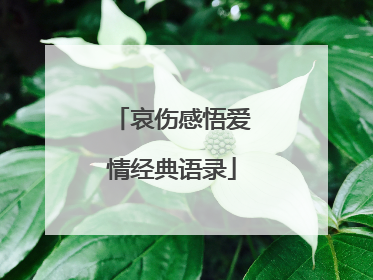哀伤感悟爱情经典语录