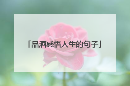 品酒感悟人生的句子