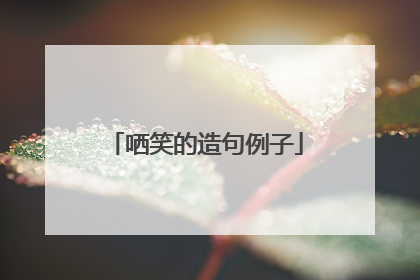哂笑的造句例子