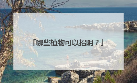 哪些植物可以招阴？