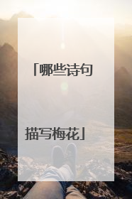 哪些诗句描写梅花