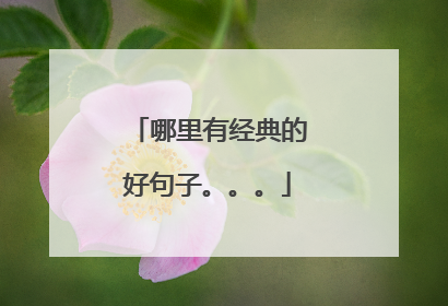 哪里有经典的好句子。。。