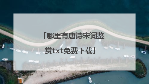 哪里有唐诗宋词鉴赏txt免费下载
