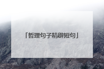 哲理句子精辟短句