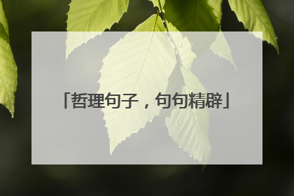 哲理句子,句句精辟