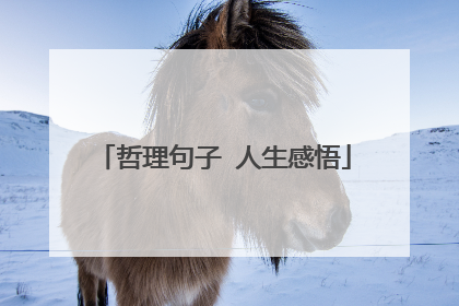 哲理句子 人生感悟