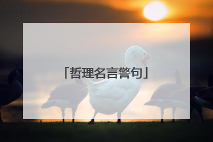哲理名言警句