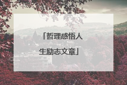 哲理感悟人生励志文章