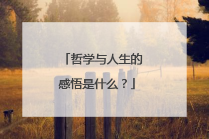 哲学与人生的感悟是什么?