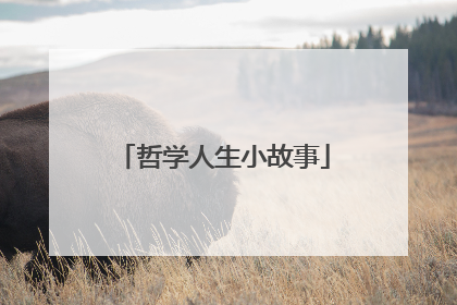 哲学人生小故事