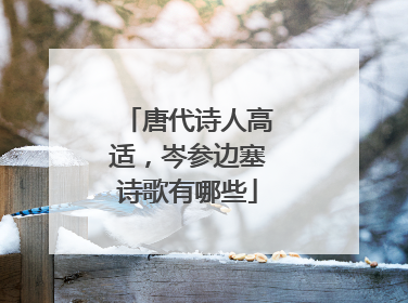唐代诗人高适,岑参边塞诗歌有哪些