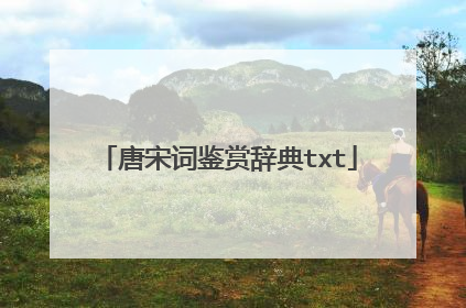 唐宋词鉴赏辞典txt