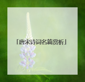 唐宋诗词名篇赏析