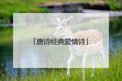 唐诗经典爱情诗