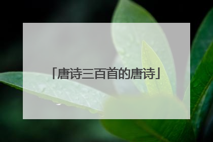 唐诗三百首的唐诗