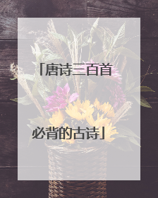唐诗三百首必背的古诗