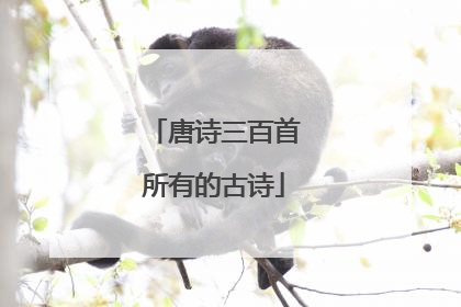 唐诗三百首所有的古诗