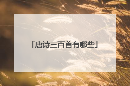唐诗三百首有哪些