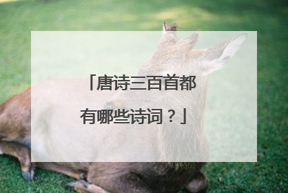 唐诗三百首都有哪些诗词?
