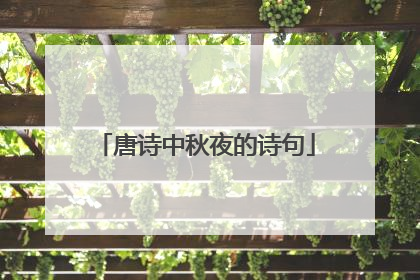 唐诗中秋夜的诗句