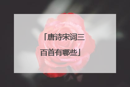 唐诗宋词三百首有哪些