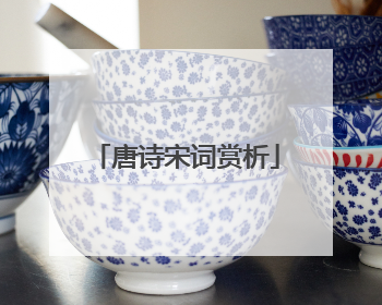 唐诗宋词赏析