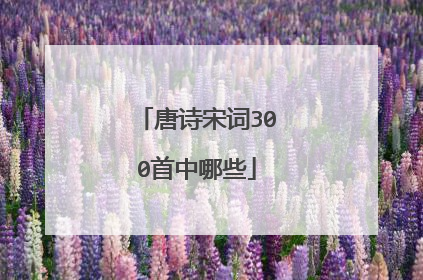 唐诗宋词300首中哪些