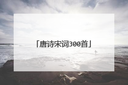 唐诗宋词300首