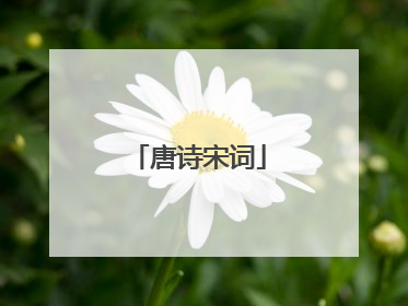 唐诗宋词