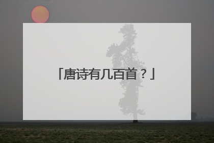 唐诗有几百首?