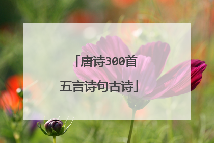 唐诗300首五言诗句古诗