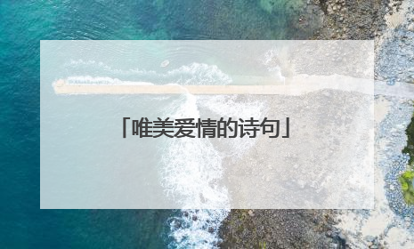 唯美爱情的诗句
