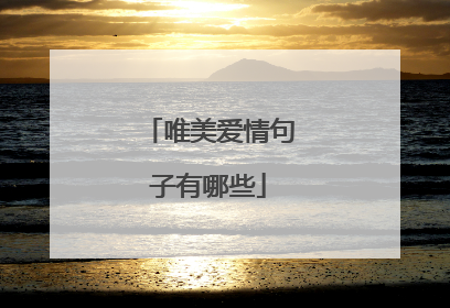 唯美爱情句子有哪些