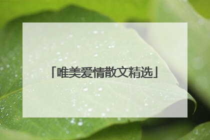 唯美爱情散文精选