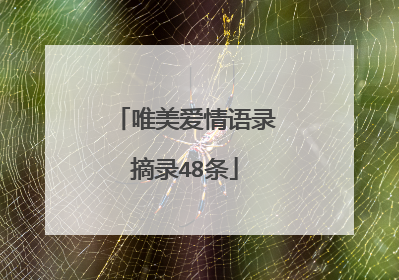唯美爱情语录摘录48条
