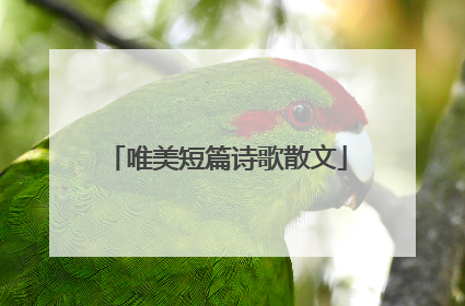唯美短篇诗歌散文
